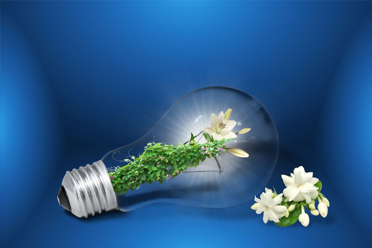 Energy consulting — saving on electricity and gas for homes and businesses